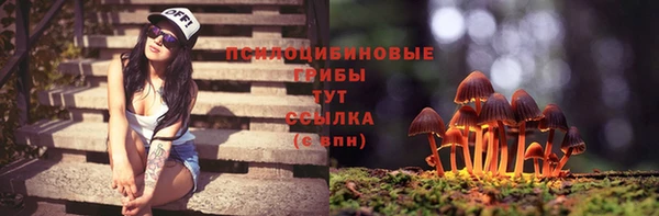 ГАЛЛЮЦИНОГЕННЫЕ ГРИБЫ Баксан