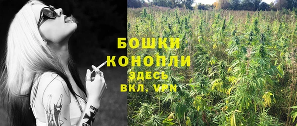 ГАЛЛЮЦИНОГЕННЫЕ ГРИБЫ Баксан