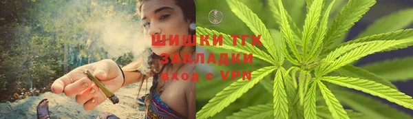 PSILOCYBIN Белокуриха