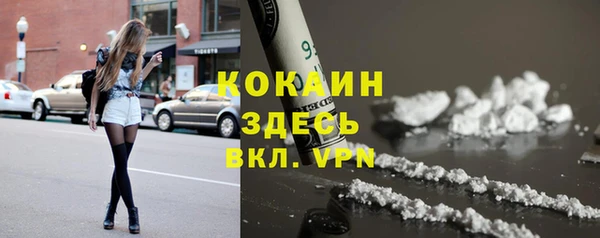 ГАЛЛЮЦИНОГЕННЫЕ ГРИБЫ Баксан