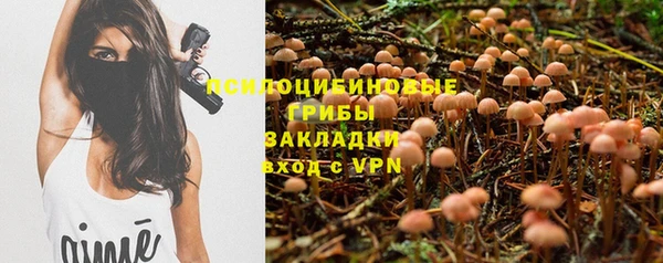 прущие крисы Балабаново