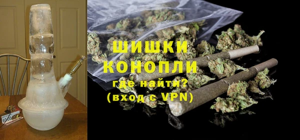 PSILOCYBIN Белокуриха
