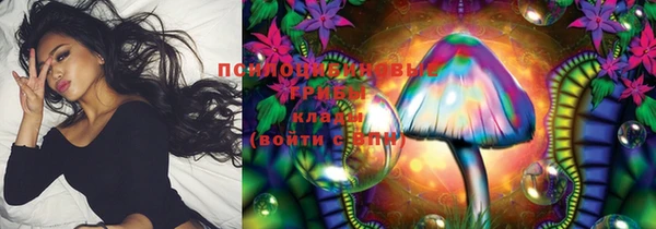 ГАЛЛЮЦИНОГЕННЫЕ ГРИБЫ Баксан