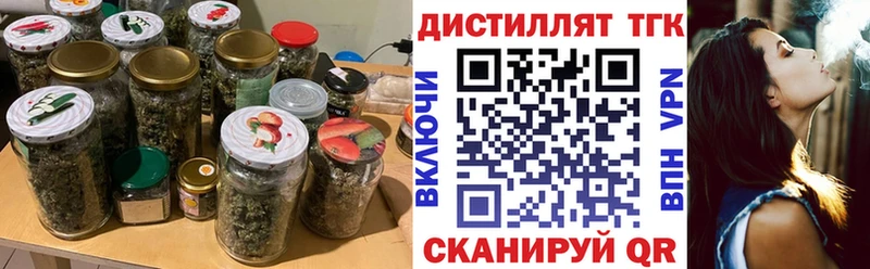 закладка  Куровское  ТГК концентрат 