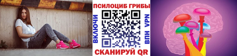 где купить наркотик  Куровское  Галлюциногенные грибы Cubensis 